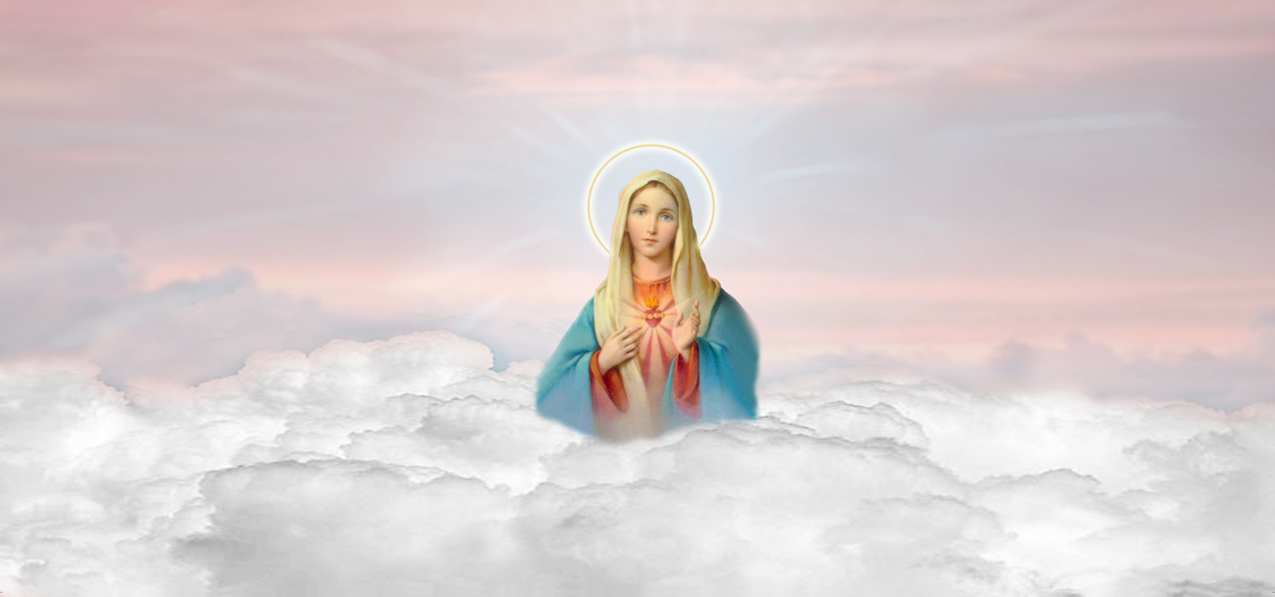 Immaculate Heart Clouds Pink (Spanish)